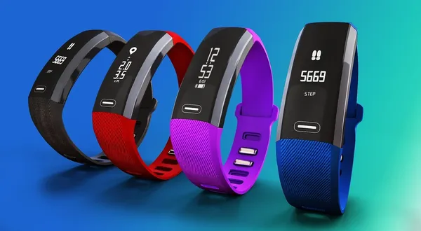 Huawei ERS-B19 Band 2 Classic Activity Tracker